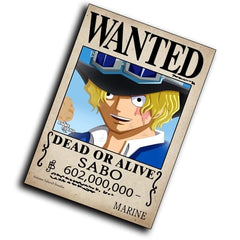 بوستر ونتد سابو - ون بيس